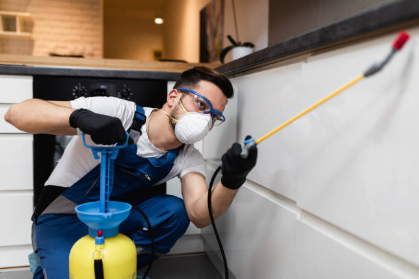 Best Emergency Pest Control  in Heflin, AL