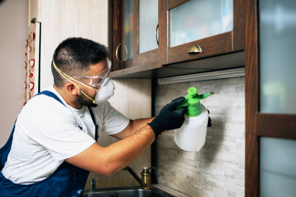 Best Residential Pest Control  in Heflin, AL
