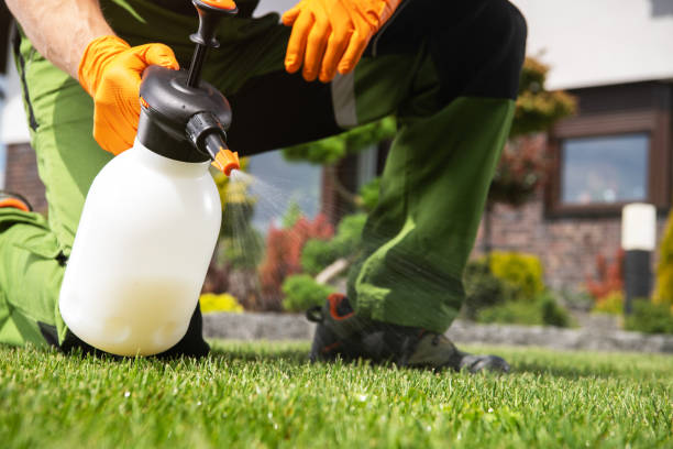 Best Pest Removal Services  in Heflin, AL