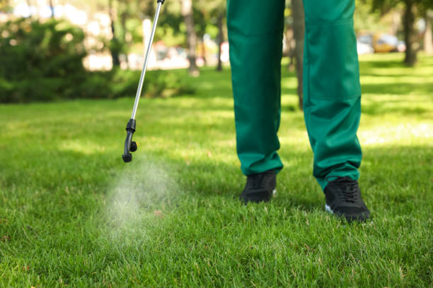 Best Cockroach Control Services  in Heflin, AL