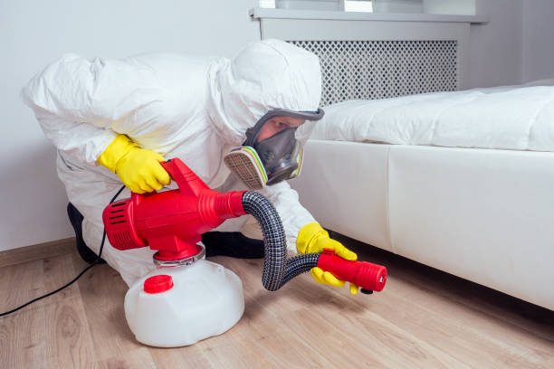 Best Mosquito Control Services  in Heflin, AL