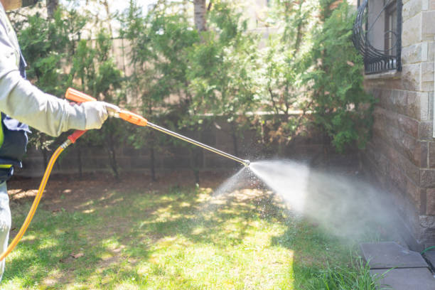 Best Best Pest Control Companies  in Heflin, AL