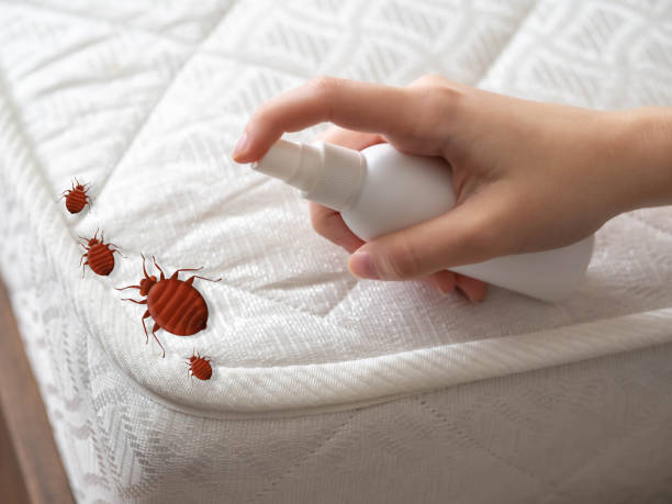 Best Mosquito Control Services  in Heflin, AL
